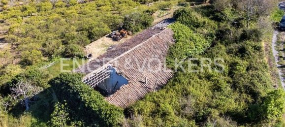 84500m² Land in Mascali, Italy No. 139023 4