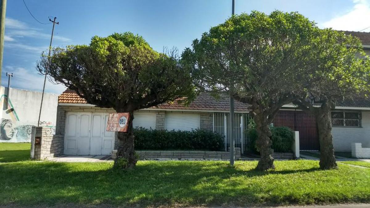 Estudio en Mar del Plata, Argentina No. 97243