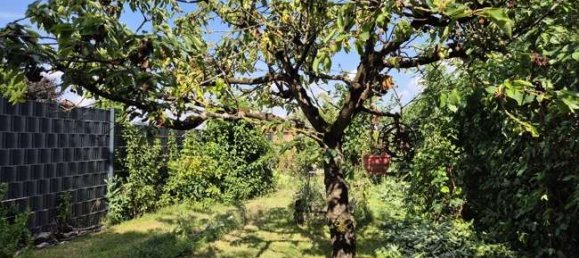 Adosado de 3 dormitorios en Duren, Germany No. 226092 7