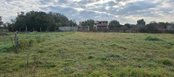  قطعة أرض في Nettuno, Italy 1700متر مربع رقم 172234 2