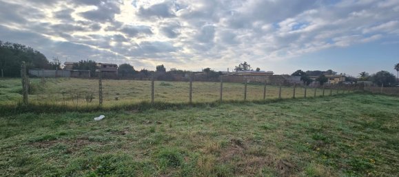  قطعة أرض في Nettuno, Italy 1700متر مربع رقم 172234 4