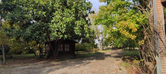 12 rooms Villa in Gaiba, Italy No. 220851 8