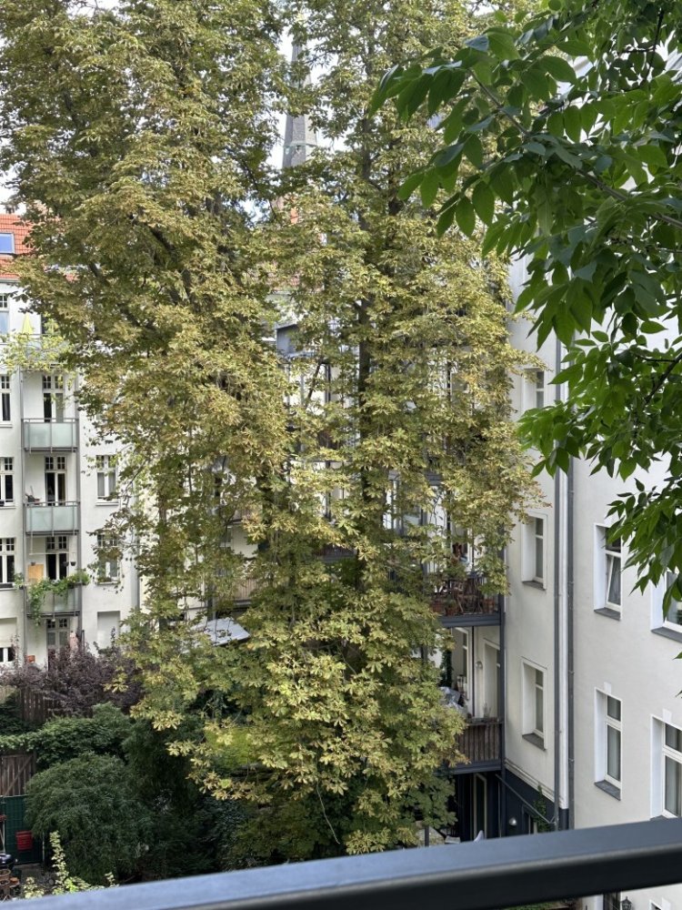 استوديو في Friedrichshain, Germany رقم 234248