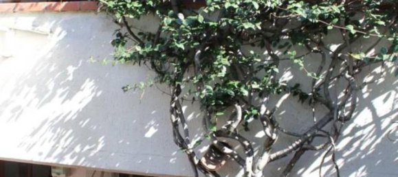 6 rooms House in Carrara, Italy No. 23250 4