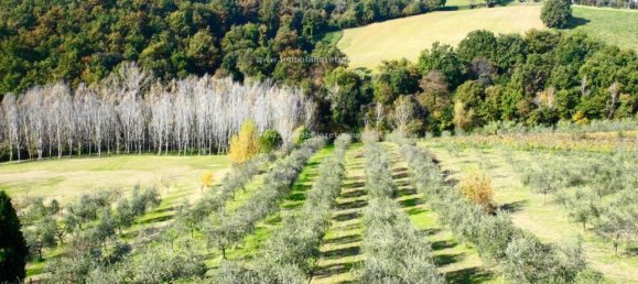 Casa de 10 habitaciónes en Cerreto Guidi, Italy No. 32540 20