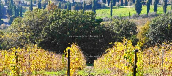 Casa de 10 habitaciónes en Cerreto Guidi, Italy No. 32540 69