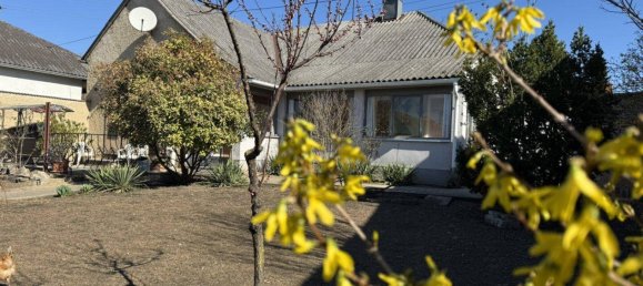 3 rooms House in Andau, Austria No. 212937 13