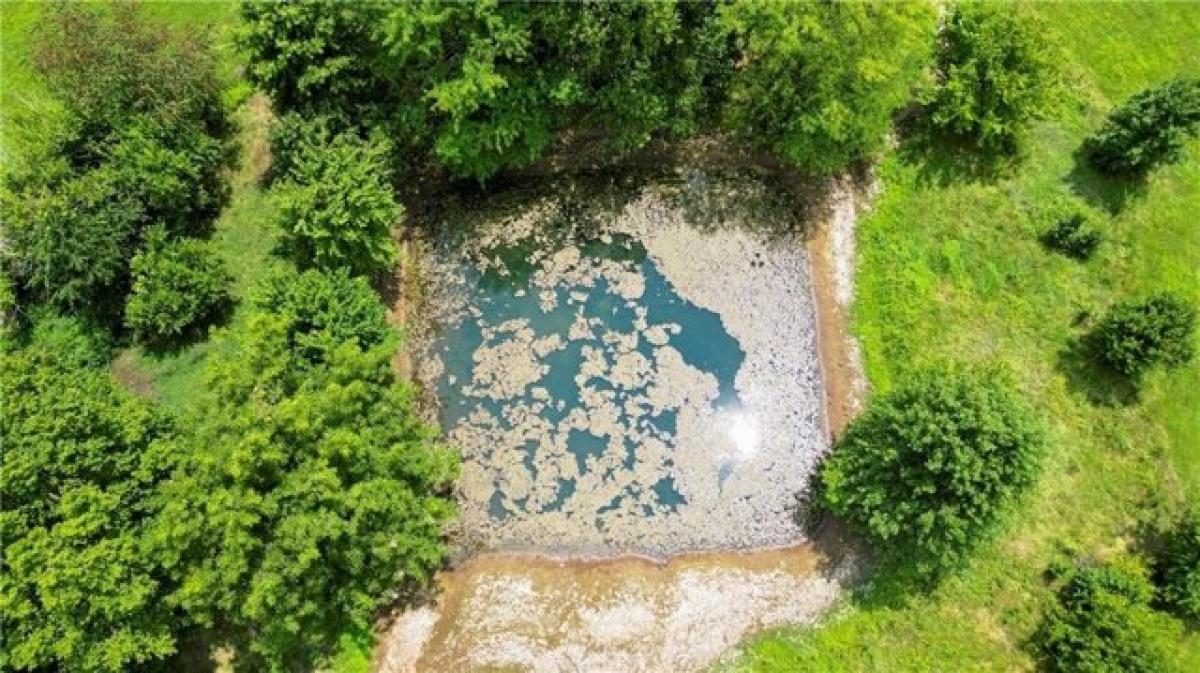  Land in Centerton, USA No. 491539