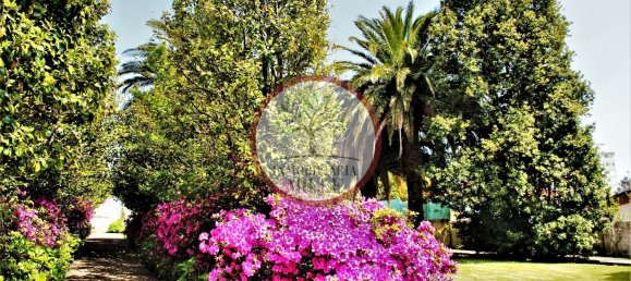 9 Schlafzimmer Haus in Ferrol, Spain, Nr. 74701 42