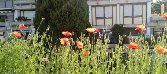 Apartamento de 3 divisões em Furstenfeld, Austria N.º 248953 5