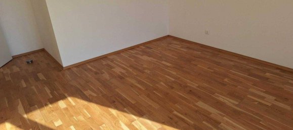 3 rooms Apartment in Purbach am Neusiedler See, Austria No. 226671 5