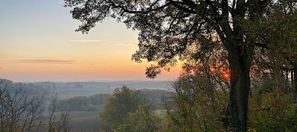 3 chambres Maison à Eymet, France No. 316683 10