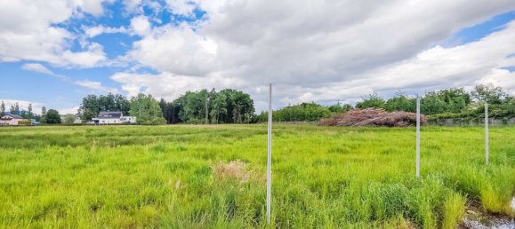 Gewerbliche Immobilie in Premstätten, Austria 25640m², Nr. 131637 2