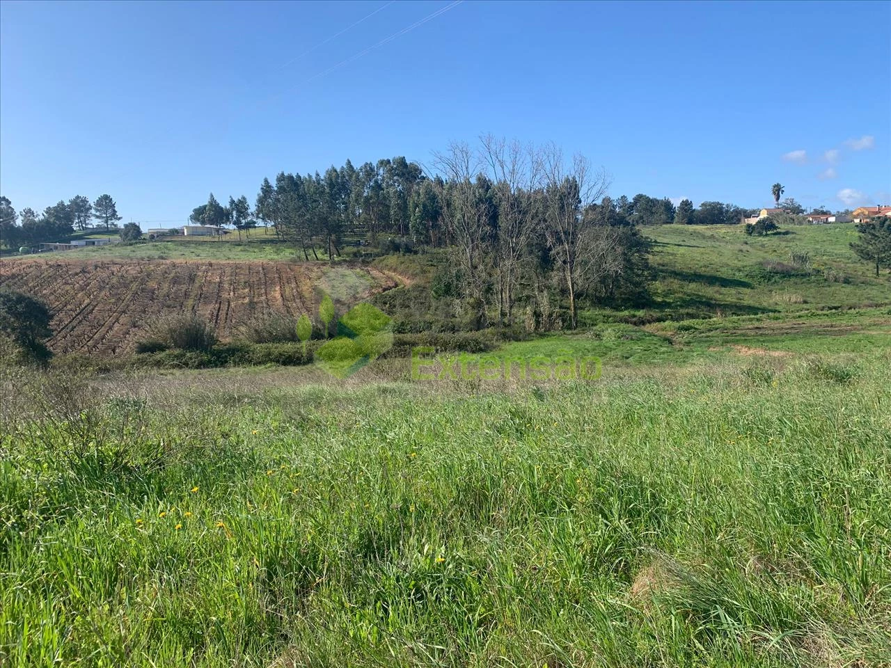  Land in Cartaxo, Portugal No. 56420