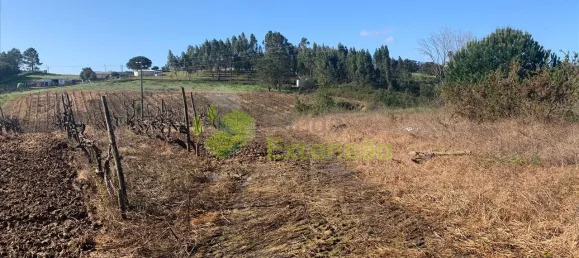  Land in Cartaxo, Portugal No. 56420 14