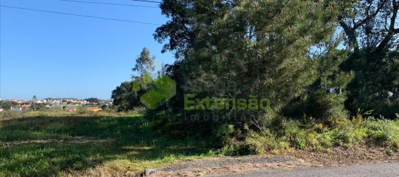  Land in Cartaxo, Portugal No. 56420 7