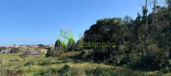  Land in Cartaxo, Portugal No. 56420 3
