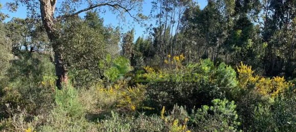  Land in Cartaxo, Portugal No. 56420 10
