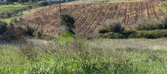  Land in Cartaxo, Portugal No. 56420 2