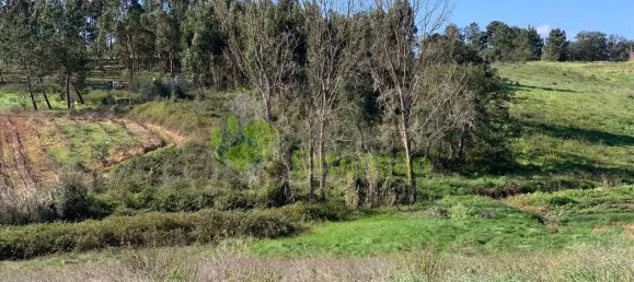  Land in Cartaxo, Portugal No. 56420 15
