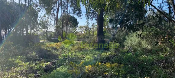  Land in Cartaxo, Portugal No. 56420 12