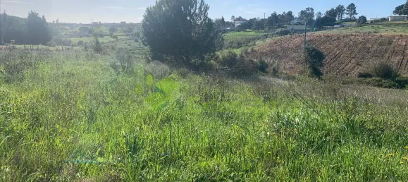  Land in Cartaxo, Portugal No. 56420 13