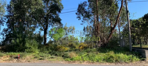  Land in Cartaxo, Portugal No. 56420 6