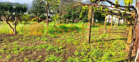 3 غرف نوم منزل في Gondarem, Portugal رقم 67063 10