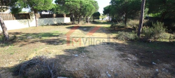 Terrain à Almancil, Portugal 890m² No. 107383 2