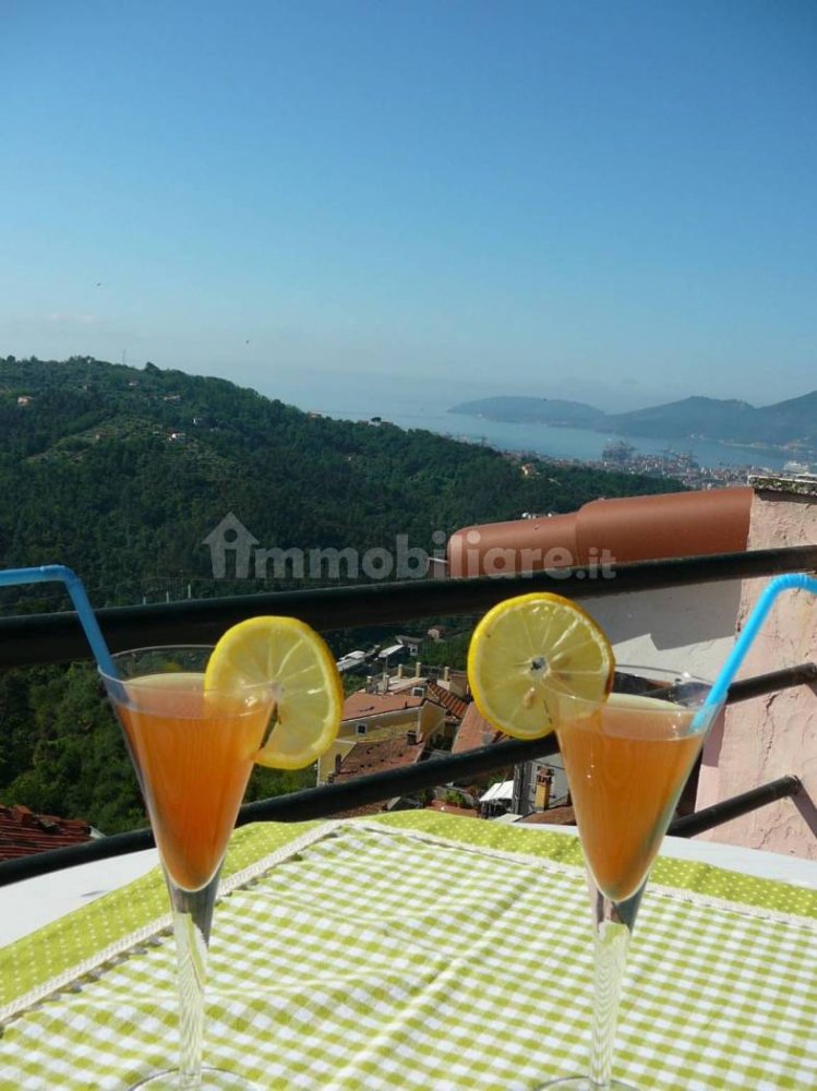 1 bedroom Castles in Vezzano Ligure, Italy No. 395949