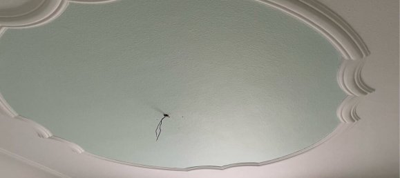 Moradia em banda de 6 divisões em Gorlitz, Germany N.º 134571 23