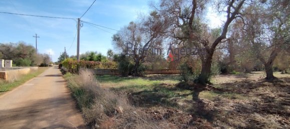 Grundstück in San Vito dei Normanni, Italy 4397m², Nr. 117637 10