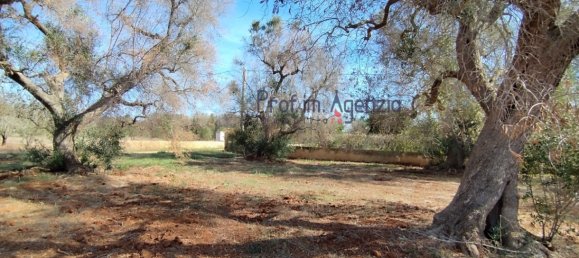 Grundstück in San Vito dei Normanni, Italy 4397m², Nr. 117637 7