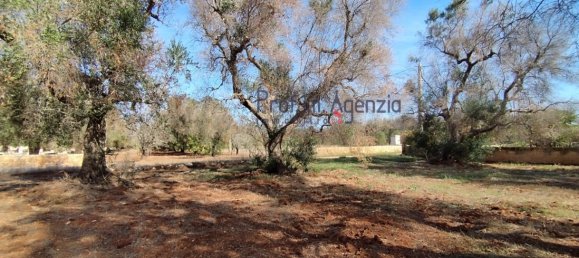 Grundstück in San Vito dei Normanni, Italy 4397m², Nr. 117637 6