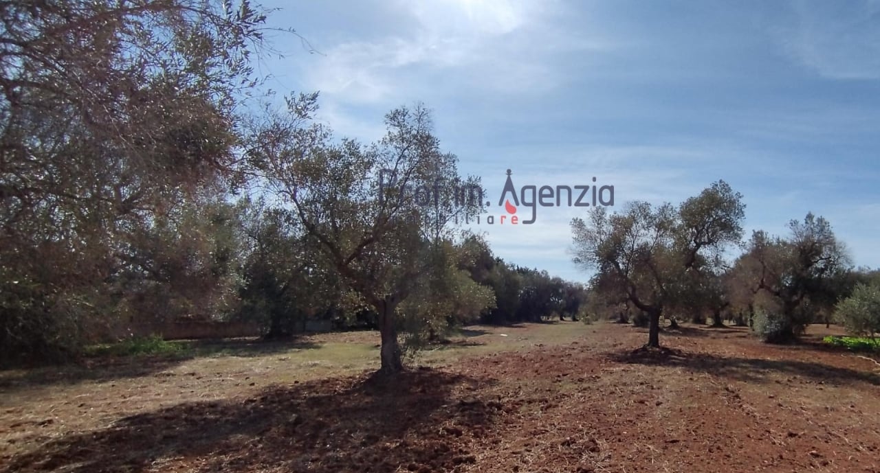 Grundstück in San Vito dei Normanni, Italy 4397m², Nr. 117637