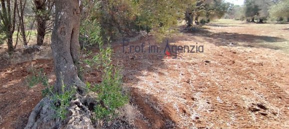 Grundstück in San Vito dei Normanni, Italy 4397m², Nr. 117637 5