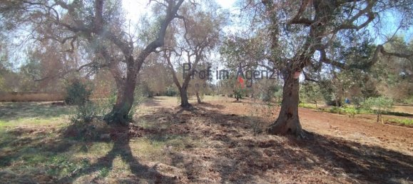 Grundstück in San Vito dei Normanni, Italy 4397m², Nr. 117637 8