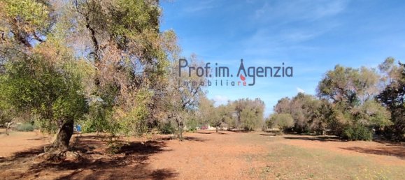 Grundstück in San Vito dei Normanni, Italy 4397m², Nr. 117637 9