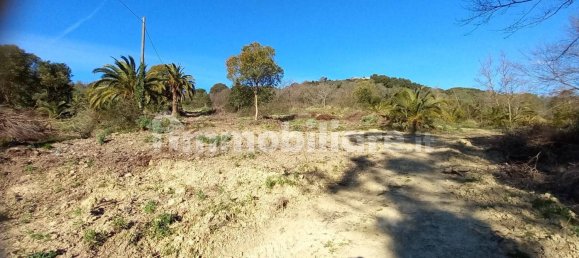 18000m² Land in Sanremo, Italy No. 314856 13