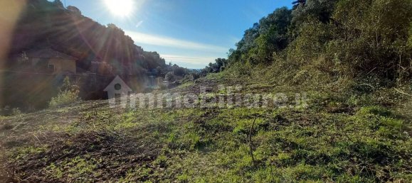 18000m² Land in Sanremo, Italy No. 314856 9