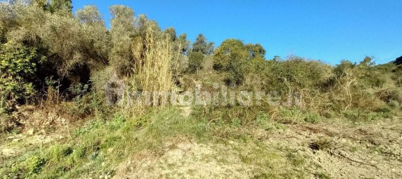 18000m² Land in Sanremo, Italy No. 314856 11