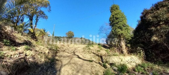 18000m² Land in Sanremo, Italy No. 314856 12
