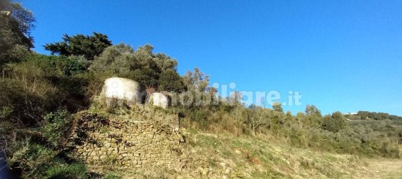 18000m² Land in Sanremo, Italy No. 314856 7