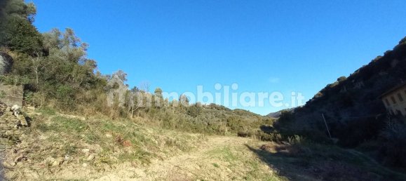 18000m² Land in Sanremo, Italy No. 314856 6