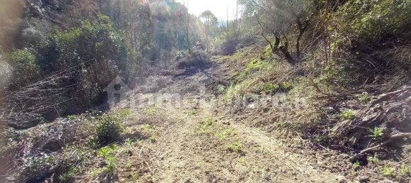 18000m² Land in Sanremo, Italy No. 314856 4