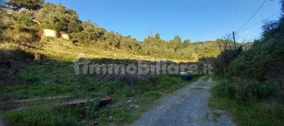 18000m² Land in Sanremo, Italy No. 314856 5