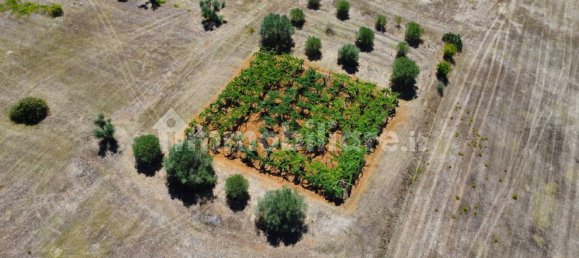 63217m² Land in Latina, Italy No. 272886 4