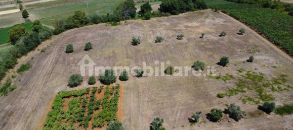 63217m² Land in Latina, Italy No. 272886 5