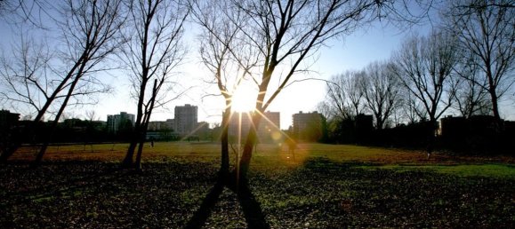 2 rooms Apartment in San Donato Milanese, Italy No. 32317 16