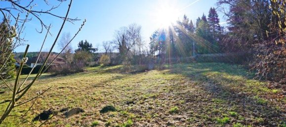 700m² Land in Pressbaum, Austria No. 26761 2